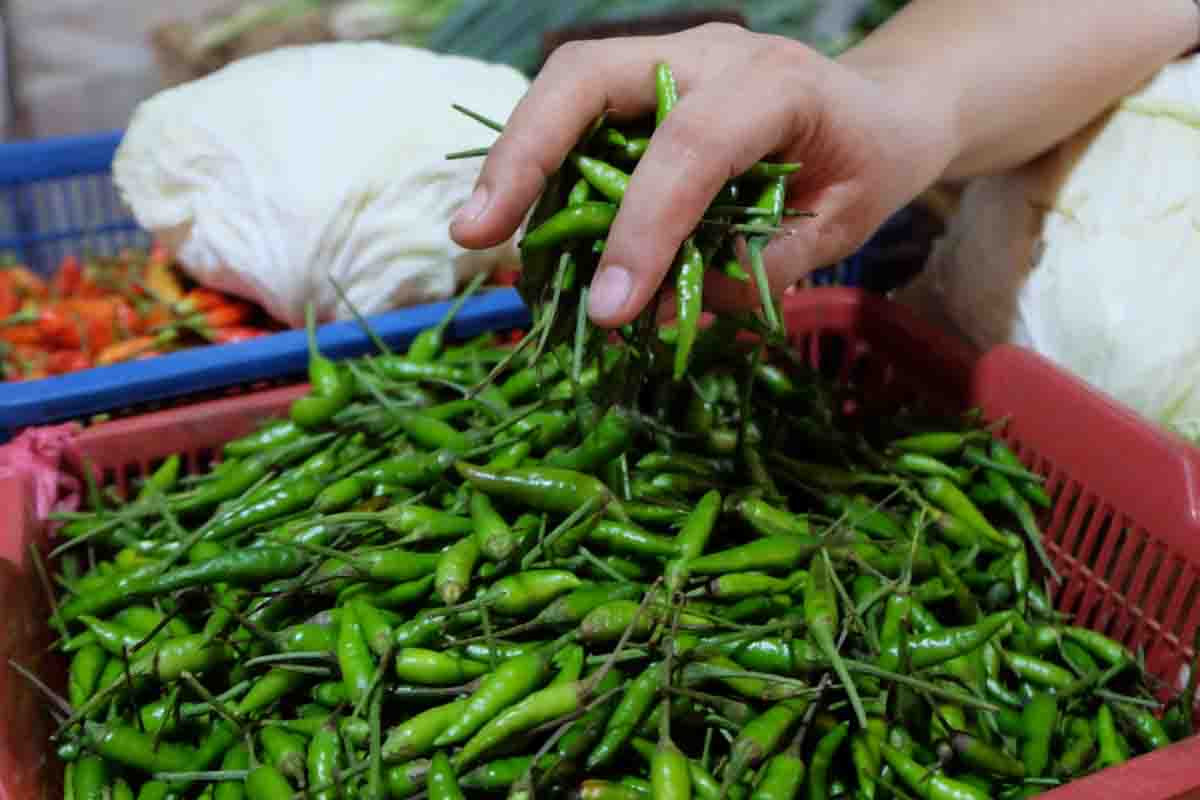 Harga sembako di pasar tradisional masih stabil Harga sembako di pasar tradisional masih stabil