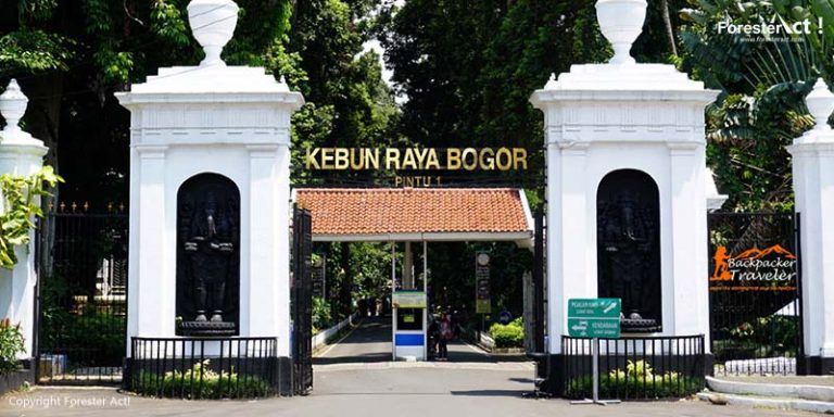 Gambar Mengenai Hanya Dijual Online, Tiket Masuk ke Kebun Raya Bogor
