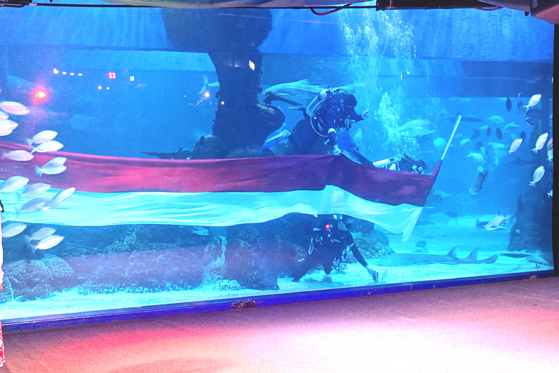 alt="bendera merah putih di jakarta aquarium safari"