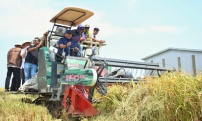 wamentan sudaryono saat panen di indramayu