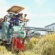 wamentan sudaryono saat panen di indramayu