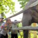 Kapolda Riau bersama anak gajah betina Nona Seroja yang lahir di Taman Nasional Tesso Nilo, Riau.