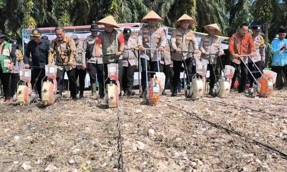 Karo SDM Polda Riau bersama petani melakukan penanaman jagung pada lahan seluas 15 hektare di Kecamatan Kandis, Kabupaten Siak.