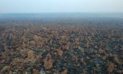 Foto udara kondisi Karhutla di Riau setelah operasi pemadaman di Siak berakhir dan Kerumutan empat hari tanpa titik api