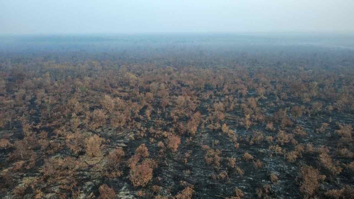 Foto udara kondisi Karhutla di Riau setelah operasi pemadaman di Siak berakhir dan Kerumutan empat hari tanpa titik api